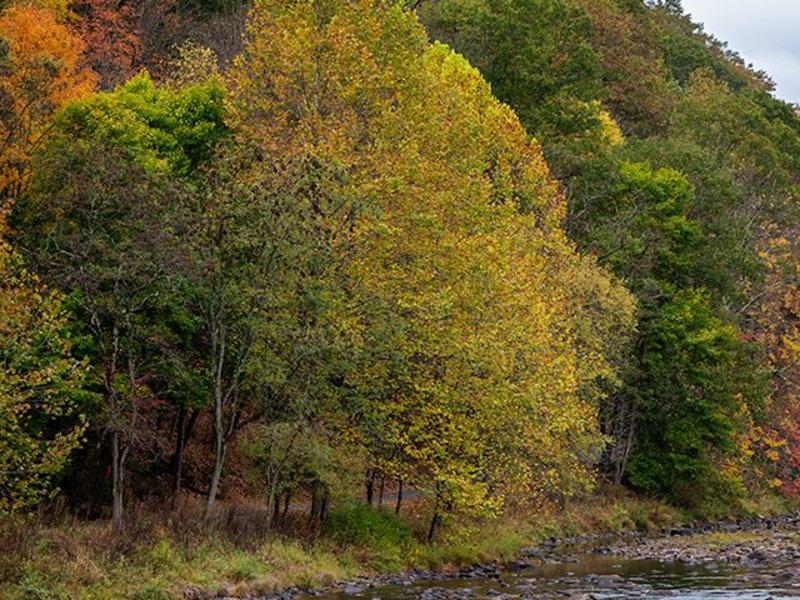 Greenbrier Valley Medical Center CAMC Health System